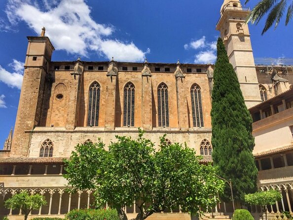 1 Hour Electric Scooter Tour in Palma - Key points to know before booking