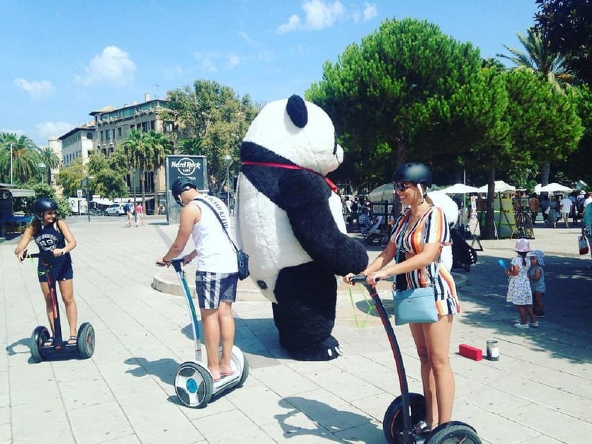 1 Hour Segway tour in Palma de Mallorca - What the guides add to the hour