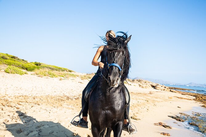 3-Hour Beach Horse Riding to Discover the Beauty of Alcudia Bay - From Rancho Ca’n Picafort to the Son Baulo shore