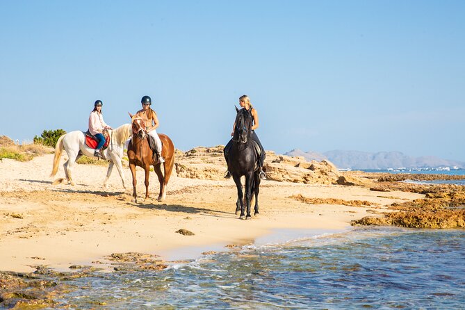 3-Hour Beach Horse Riding to Discover the Beauty of Alcudia Bay - What is included, and what you still need to bring