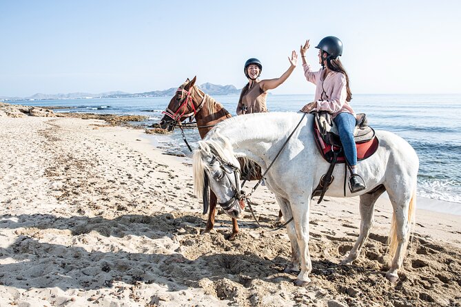 3-Hour Beach Horse Riding to Discover the Beauty of Alcudia Bay - The horses and the ranch setting