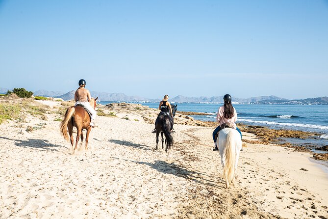 3-Hour Beach Horse Riding to Discover the Beauty of Alcudia Bay - Who should book this three-hour ride?