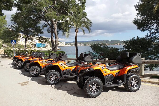 3 hours quad tour from Paguera - Magaluf and Palmanova: resort Mallorca in contrast