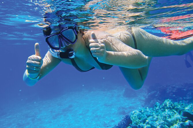 4 Hour Private Yacht Tour Mallorca - What you can do in the water