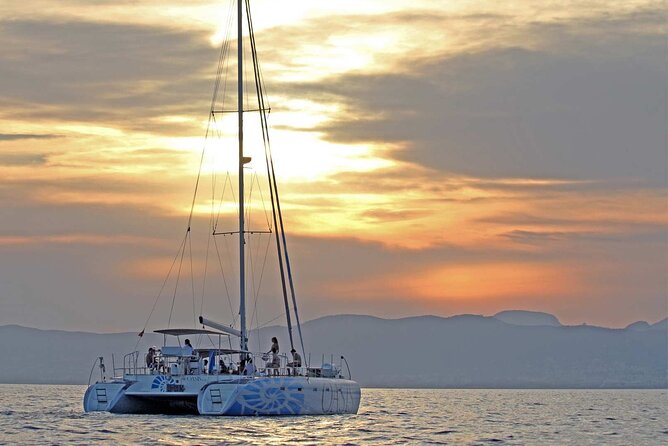Adult Only Sunset Catamaran Palma bay - Key points to know before you book