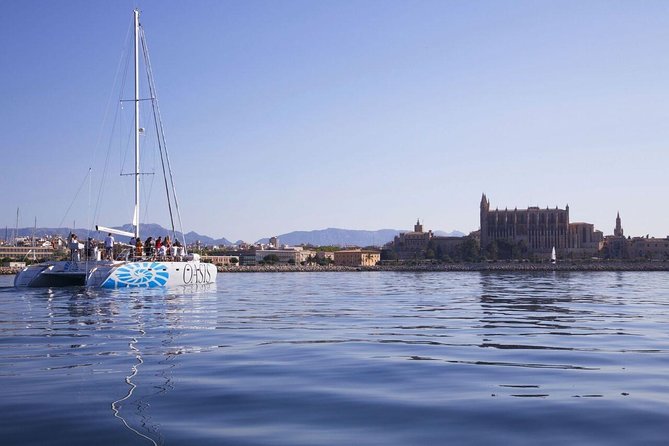 Adult Only Sunset Catamaran Palma bay - Cava, water, and the first stretch across Palma Bay