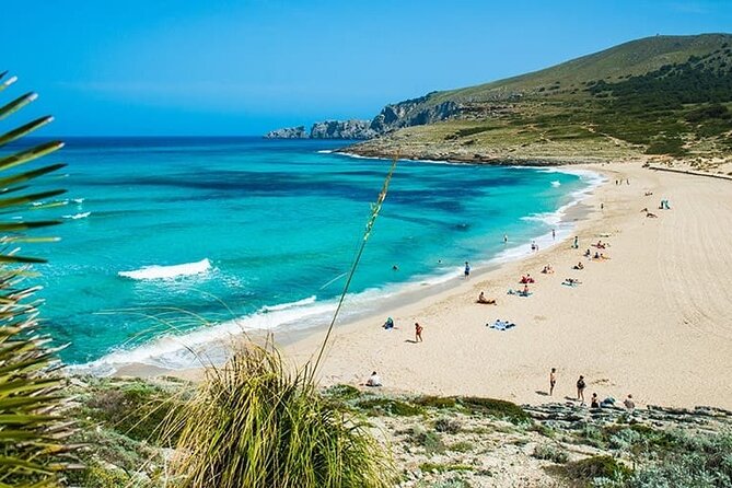 Afternoon Snorkel & Paddle Surf Experience in a Secret Spot - Key points to know before you go