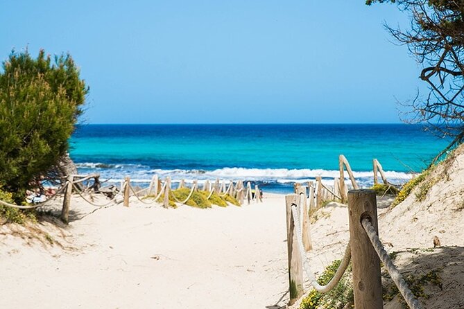 Afternoon Snorkel & Paddle Surf Experience in a Secret Spot - Snorkeling in shallow, clear water