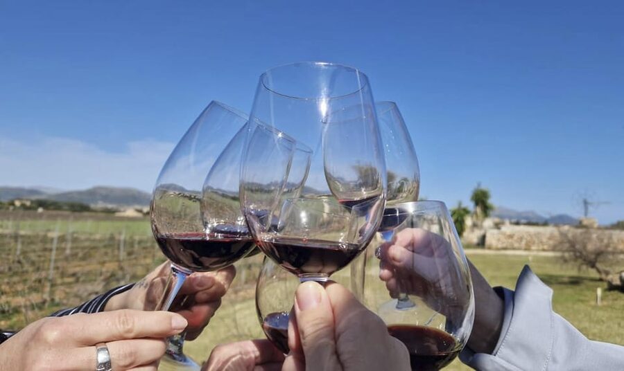 Alcúdia/Can Picafort: Guided Vineyard Visit and Wine Tasting - Walking through the vines and countryside