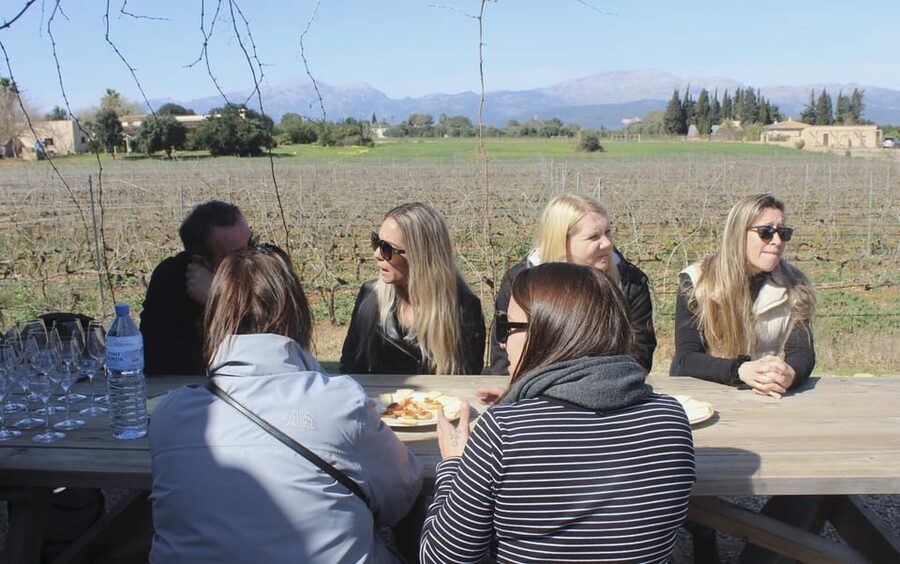 Alcúdia/Can Picafort: Guided Vineyard Visit and Wine Tasting - Inside the cellar and barrel room