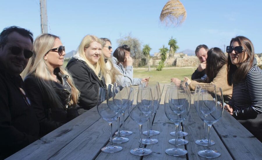 Alcúdia/Can Picafort: Guided Vineyard Visit and Wine Tasting - Tasting five wines with Mallorcan snacks