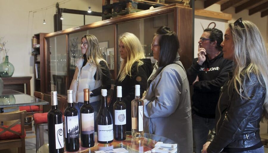 Alcúdia/Can Picafort: Guided Vineyard Visit and Wine Tasting - The owner-guide makes the difference