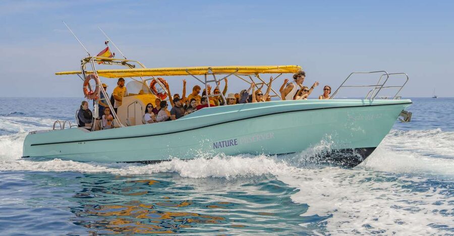 Alcudia: Coll Baix Beach & Sea Caves Cruise with Snorkeling - Setting off from Alcudia Bay