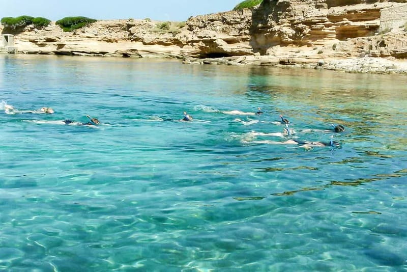 Alcudia: Formentor Beach, Lighthouse Cruise, and Small Group - Guides, safety, and the social side
