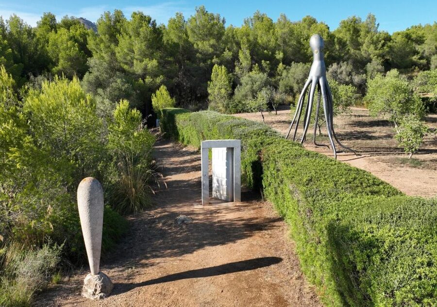 Alcudia: Museum Sa Bassa Blanca Entry Ticket - Planning your visit around the hours