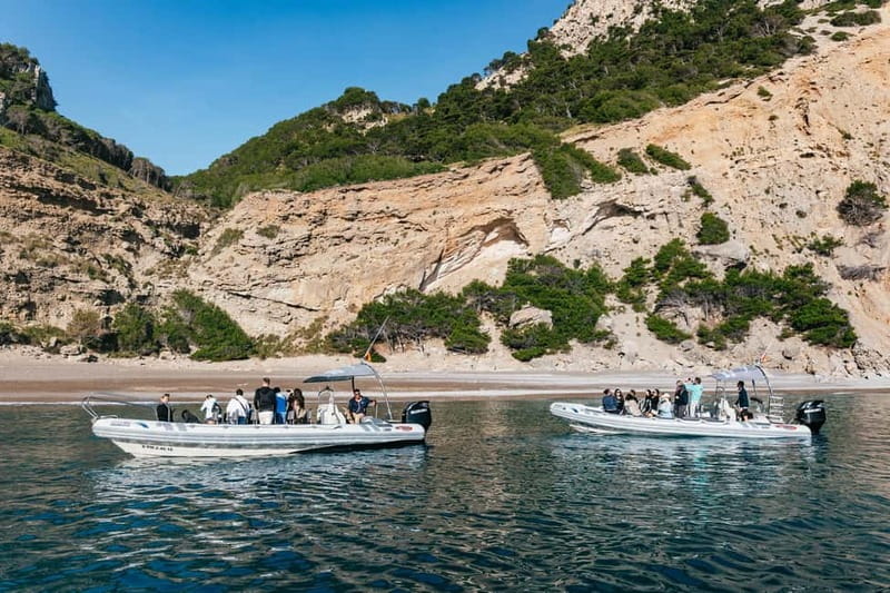 Alcudia or Can Picafort: Dolphin-Watching Cruise - Practical preparation for the boat