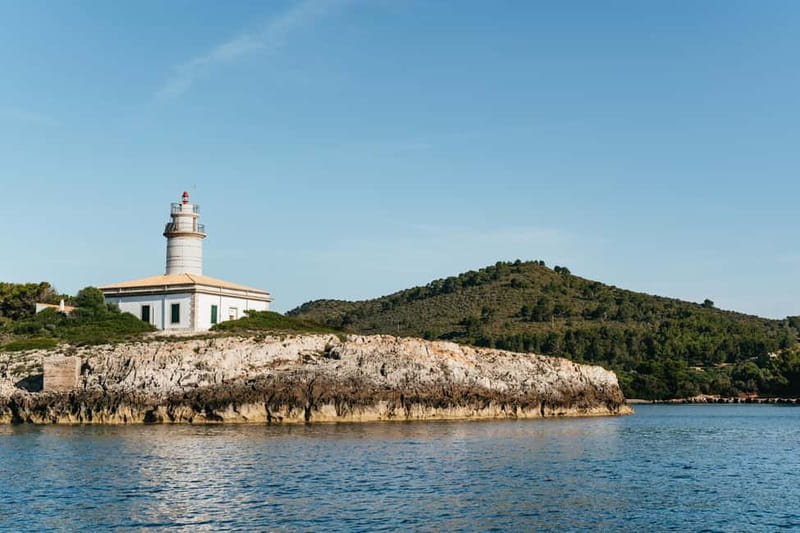 Alcudia or Can Picafort: Dolphin-Watching Cruise - The fast run to the dolphin area