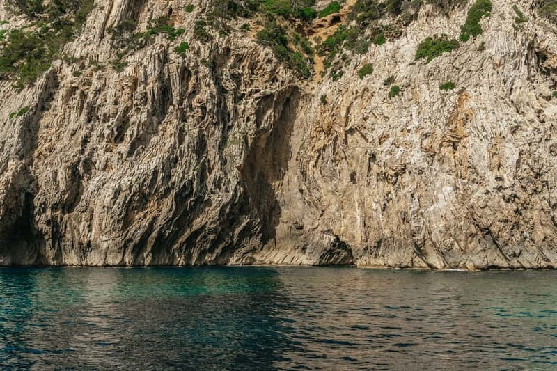 Alcudia or Can Picafort: Dolphin-Watching Cruise - Watching dolphins behave naturally