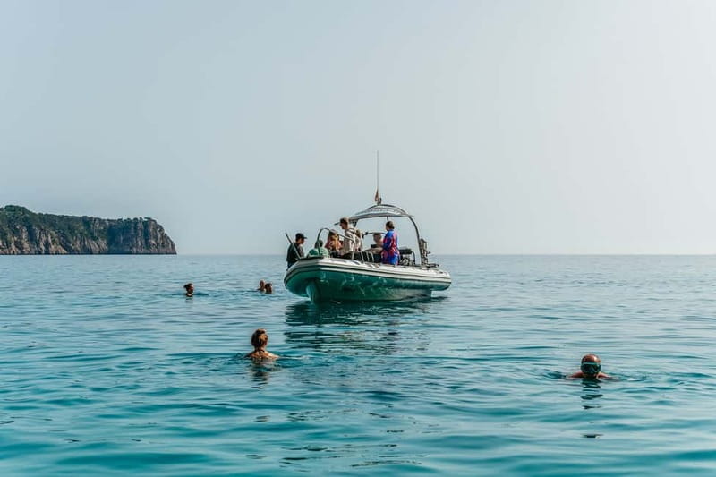 Alcudia or Can Picafort: Dolphin-Watching Cruise - What the $91 price gets you