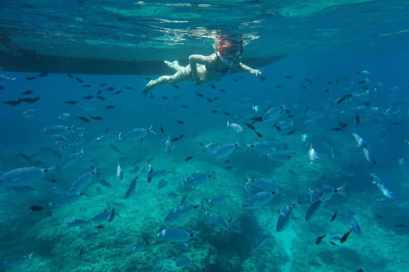 Alcudia: Sea Caves Coves and Snorkeling in small groups - From Alcudia Bay to the Llevant coast
