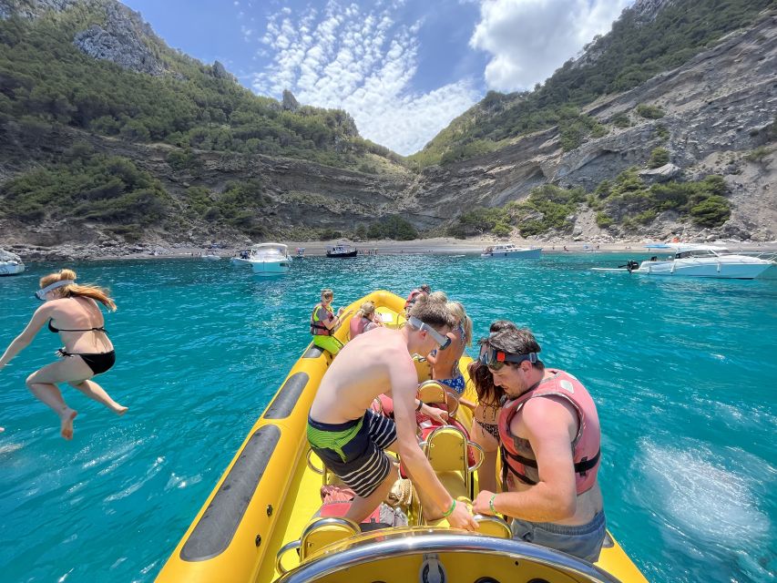 Alcudia: Speedboat Tour of Northern Mallorca & Hotel Pickup - Marine-life viewing and the return run
