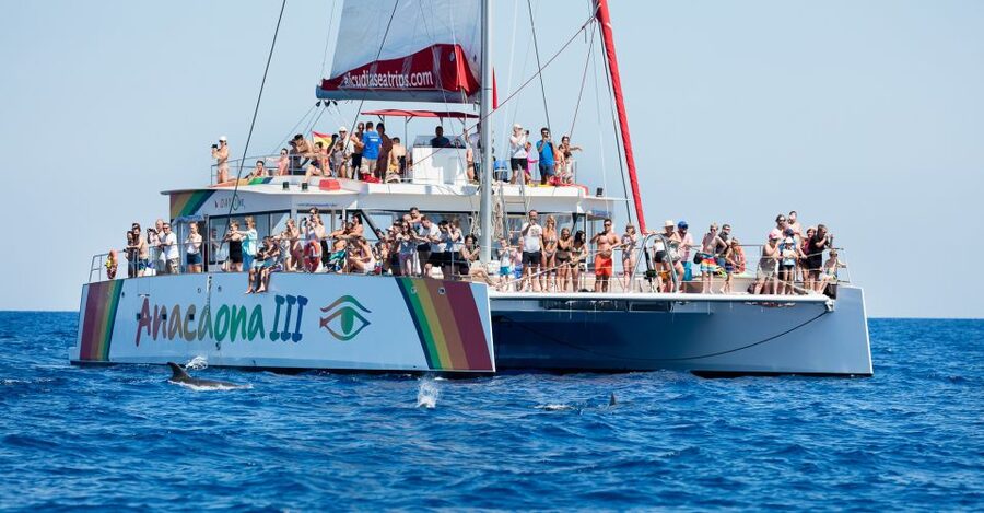 Alcudia: Sunset Catamaran Tour with Dinner and Snorkeling - Setting sail from Alcudia toward northern Mallorca