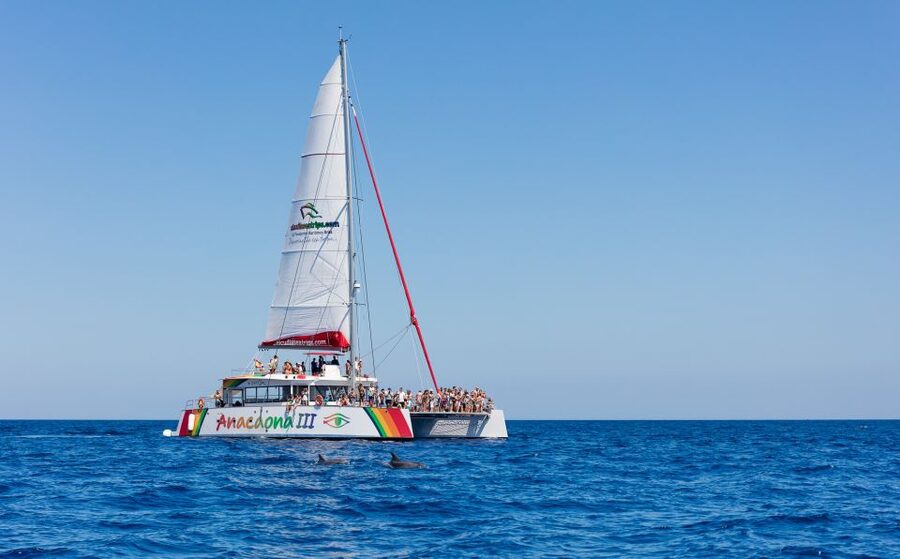 Alcudia: Sunset Catamaran Tour with Dinner and Snorkeling - Swimming, kayaking, paddleboarding, and snorkeling