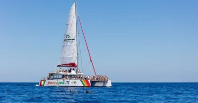 Sunset Catamaran Tour with Dinner and Snorkeling