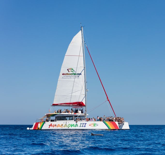 Alcudia: Sunset Catamaran Tour with Dinner and Snorkeling - Who will enjoy this Alcudia cruise most
