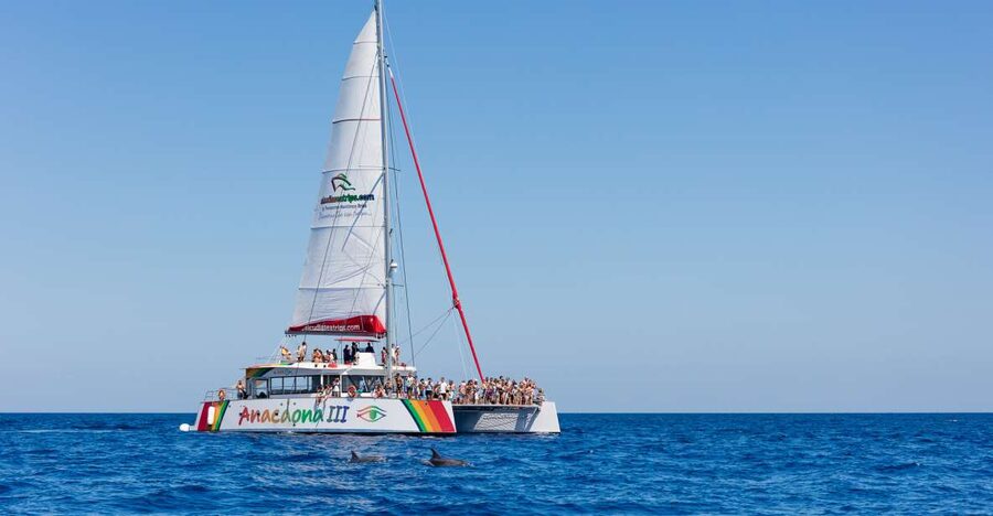 Alcudia: Sunset Catamaran Tour with Dinner and Snorkeling - The quiet cove is the heart of the trip
