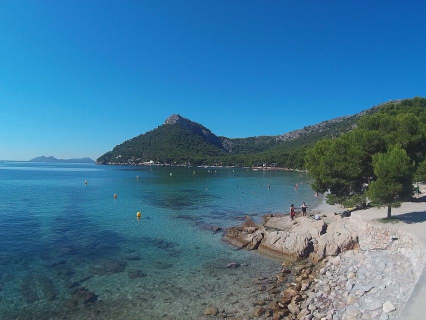 Alcudia: Trip to Formentor Beach - Key points to know before booking