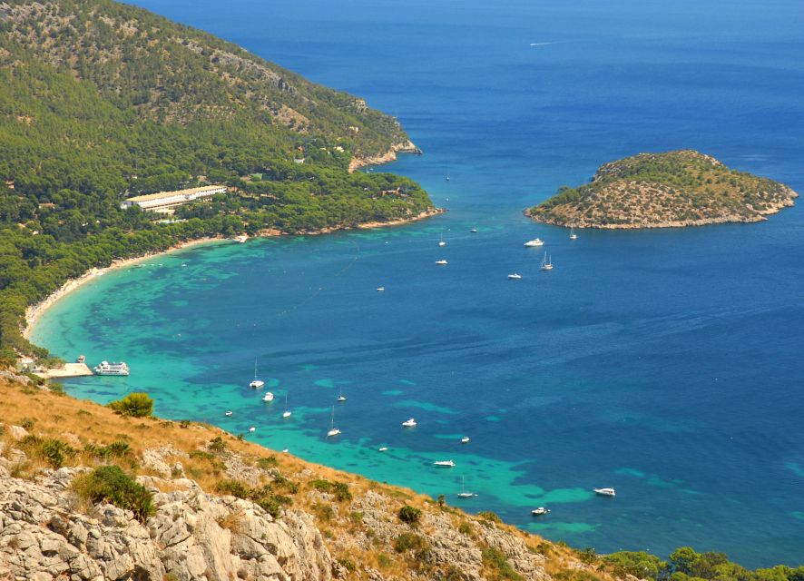 Alcudia: Trip to Formentor Beach - Practical tips for a smoother outing