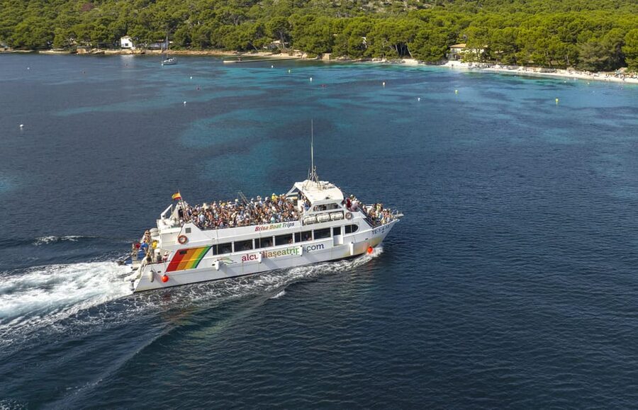 Alcudia: Trip to Formentor Beach - The swim stop in clear northern waters