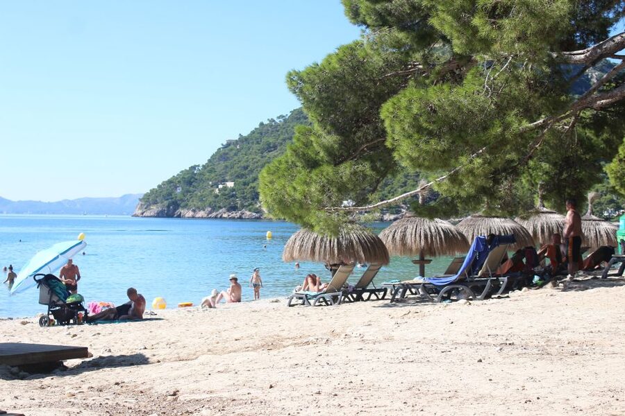 Alcudia: Trip to Formentor Beach - Who will enjoy this boat trip most?