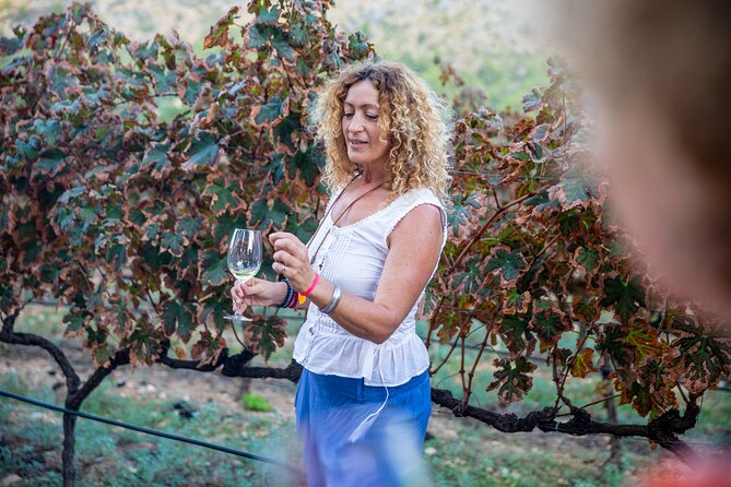 Alcudia Winecellar Tour with Vineyard Visit, Tasting of 5 Wines - Five wines, three varietals, and local snacks