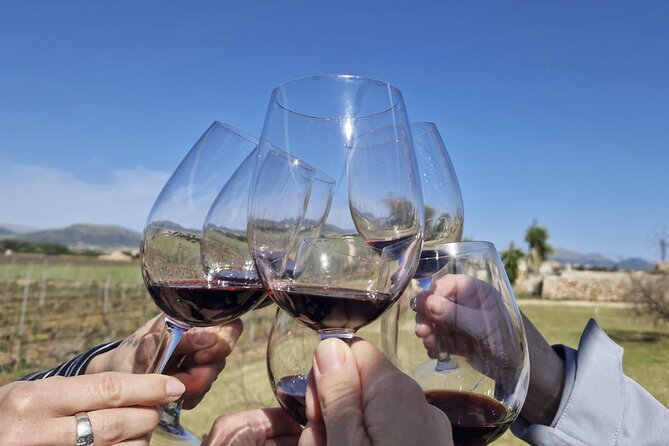 Alcudia Winecellar Tour with Vineyard Visit, Tasting of 5 Wines - Who will enjoy this two-hour experience?
