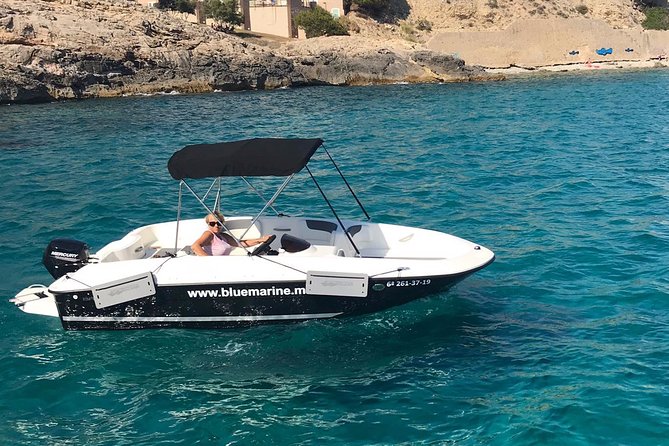 Bluemarine.me license free Bayliner Element E5 rental - Taking the Helm at Santa Ponça
