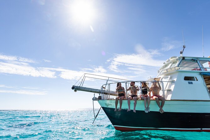 Boat Tour 2 hour in Palma Bay - The ride across Palma Bay