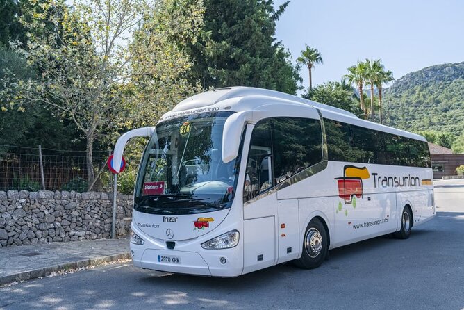 Boat, Tram and Train Tour in Mallorca from the South - What the guide adds to a busy day