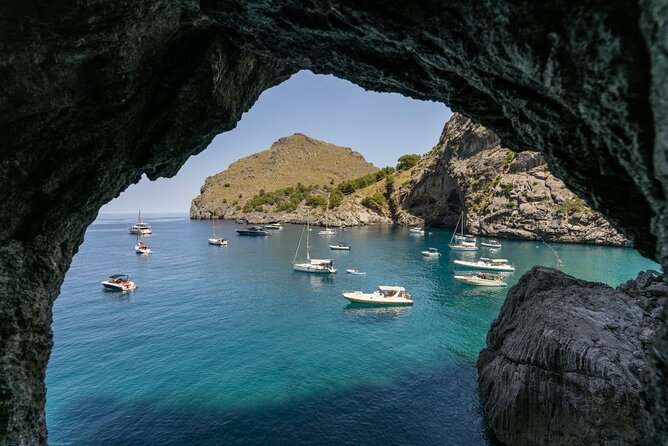 Boat, Tram and Train Tour in Mallorca from the South - Who will enjoy this tour most?