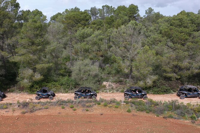 Buggy 2-seater and 4-seater Off-On Road Tour in Mallorca - Fields, fincas, and windmills near Sant Jordi