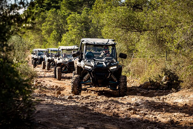 Buggy 2-seater and 4-seater Off-On Road Tour in Mallorca - How much of the tour is truly off-road?