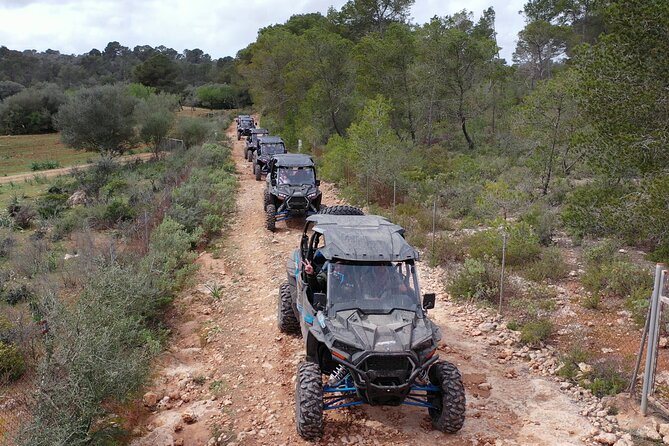 Buggy 2-seater and 4-seater Off-On Road Tour in Mallorca - The short stop by Llucmajor