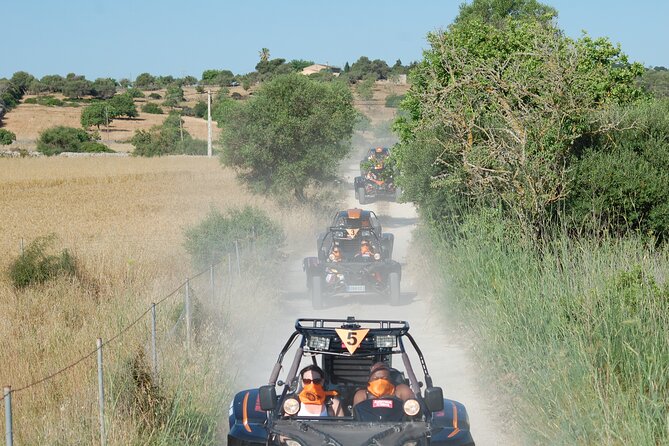 Buggy tour: East area of Mallorca - Cala Murada and the rocky swim stop