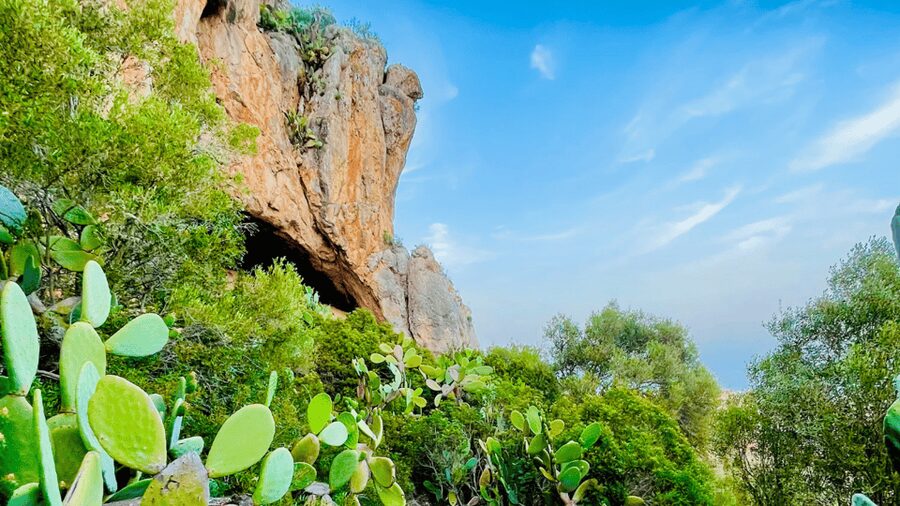 Cala Millor: "Cavemen", cave on a mountain,fun game and hike - Is $23 good value?