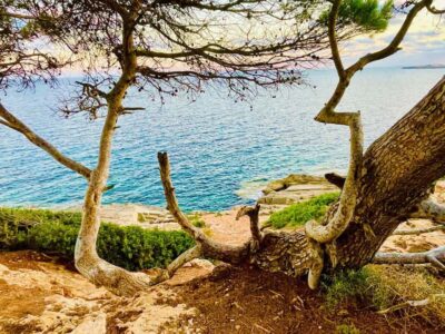 real treasure hunt in natural reserve, fun walk