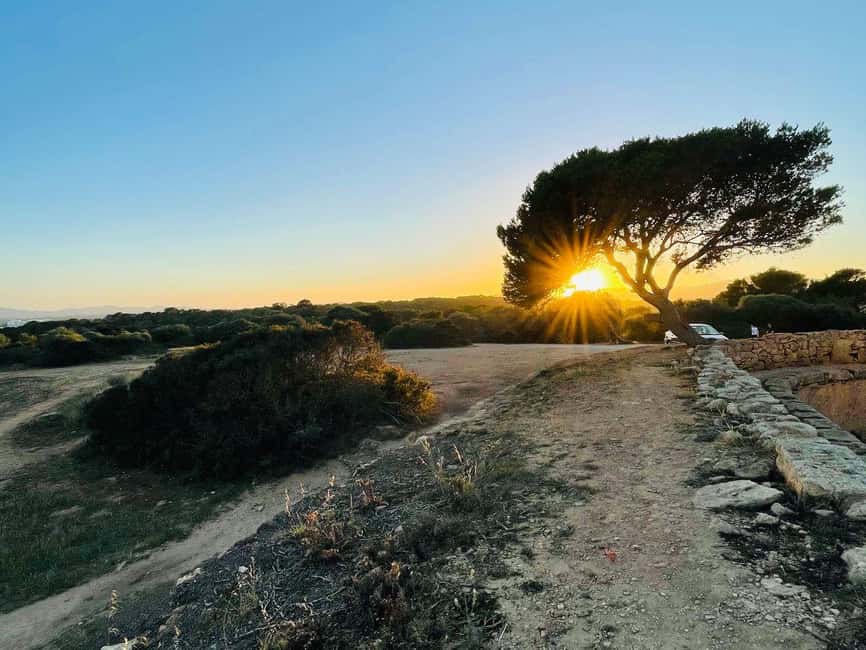 Cala Millor: real treasure hunt in natural reserve, fun walk - Timing, language, and booking flexibility