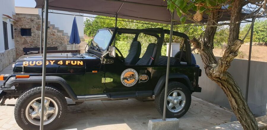 Cala Millor/Sa Coma: Guided Buggy Tour - Practical details that can make the day easier