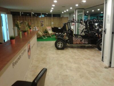 Cala Millor/Sa Coma: Guided Buggy Tour