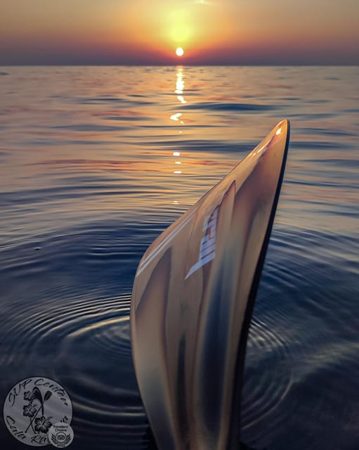 Cala Ratjada: Stand Up Paddle Sunrise Tour - Following the Cala Ratjada coast for 30 to 45 minutes